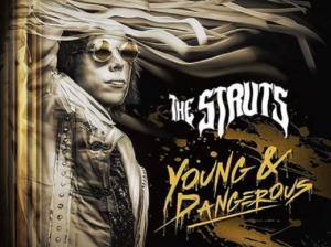 the struts