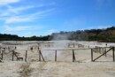 terremoto Campi Flegrei