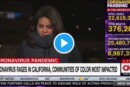 california giornalista cnn
