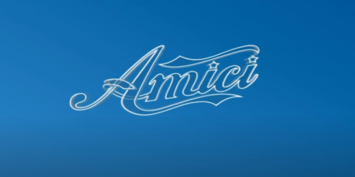 Amici 21