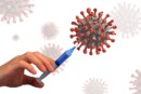 brevetti vaccinali Virus H5N8