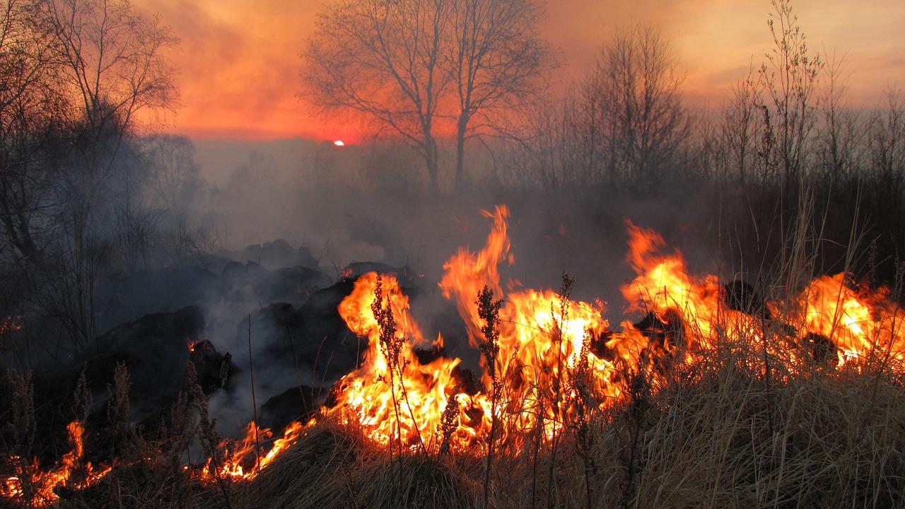 Francia, allarme incendi nei boschi della Gironda