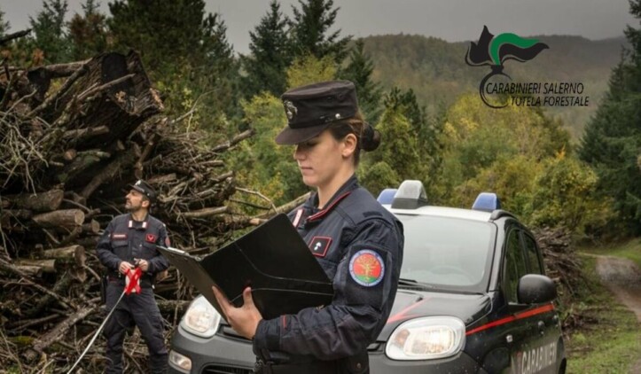 Carabinieri Forestale Giffoni Valle Piana