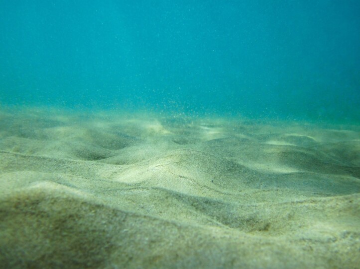 mare fondale Ventotene