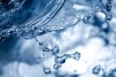 Oggi si celebra la Giornata Mondiale dell'Alimentazione acqua