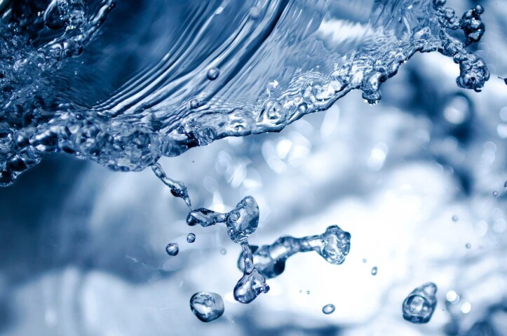 Oggi si celebra la Giornata Mondiale dell'Alimentazione acqua