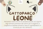 Locandina Galahad - Salerno Gattoparco
