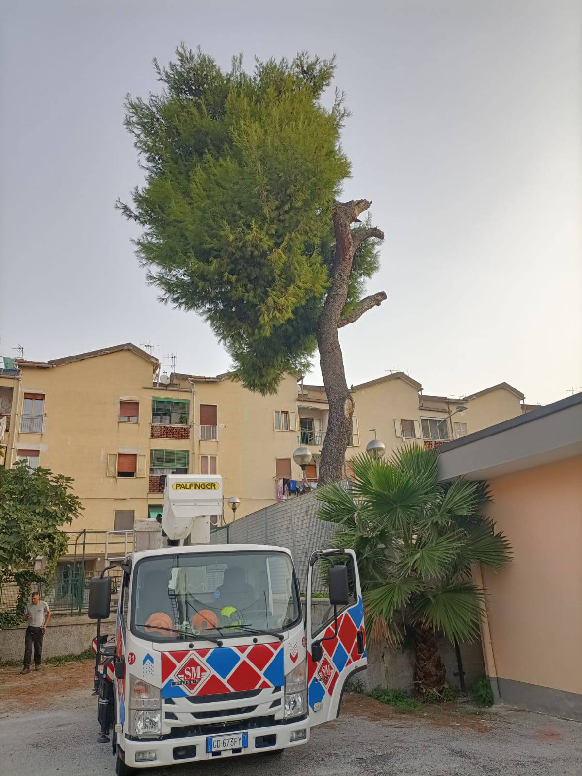 Salerno, abbattuti tre alberi per garantire la sicurezza pubblica: previsto il rinnovo delle aree verdi