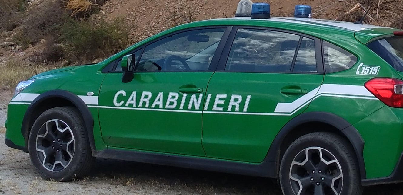Capaccio Paestum, rifiuti interrati vicino al fiume: sequestrata area agricola di 2000 mq Capaccio Paestum, rifiuti interrati vicino al fiume: sequestrata area agricola di 2000 mq