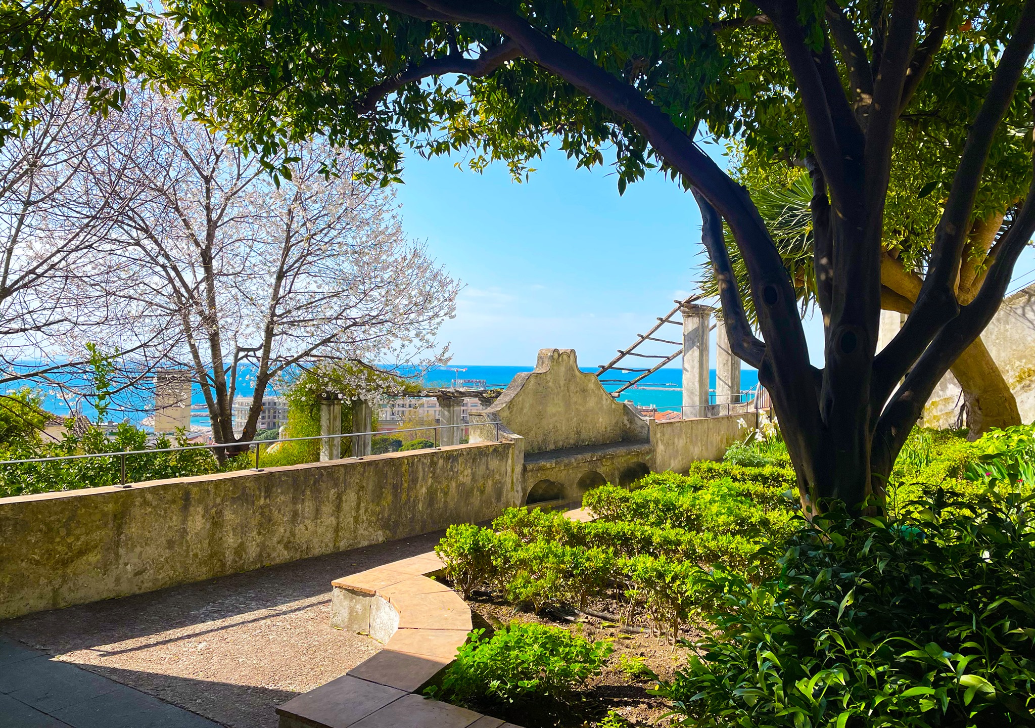 salerno ultimi ritocchi ai giardini della minerva inaugurazione attesa entro metà giugno da Zon.it salerno ultimi ritocchi ai giardini della minerva inaugurazione attesa entro metà giugno