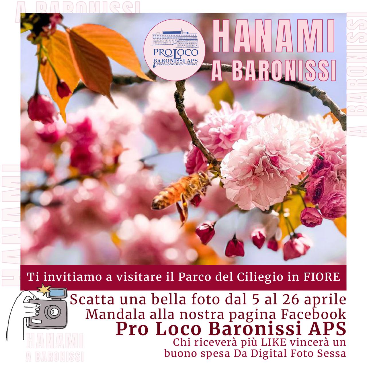 baronissi torna l8217hanami al parco del ciliegio al via il concorso fotografico 2026 da Zon.it baronissi torna l8217hanami al parco del ciliegio al via il concorso fotografico 2026