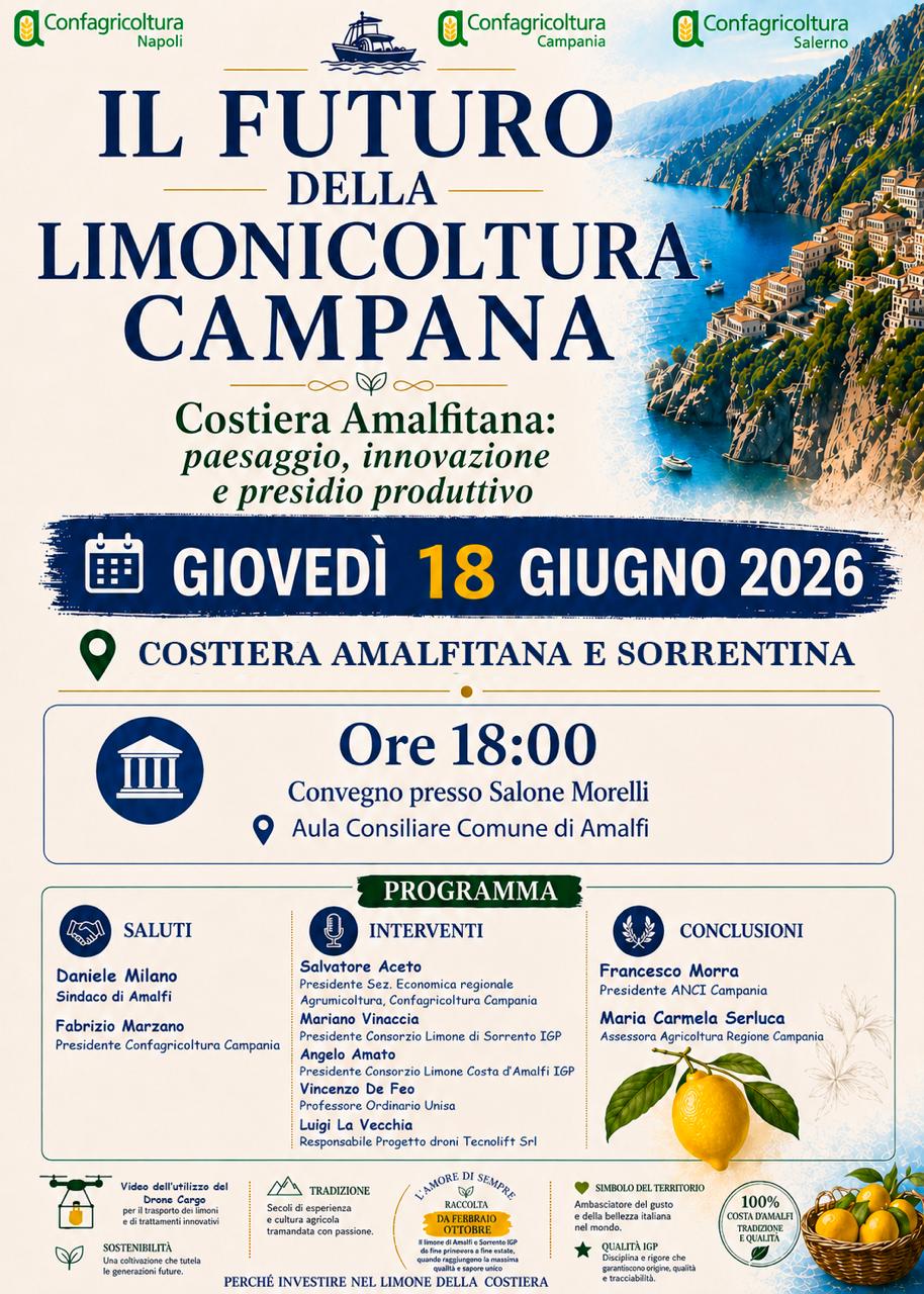 il futuro della limonicoltura campana ad amalfi il convegno di confagricoltura da Zon.it il futuro della limonicoltura campana ad amalfi il convegno di confagricoltura