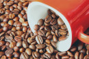 caffe