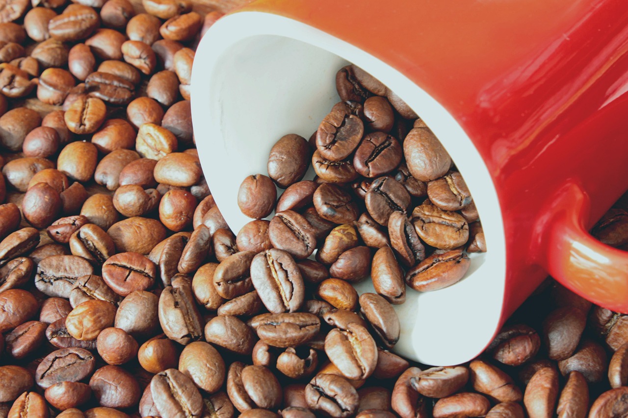 comprare caff232 online la guida alla scelta del formato giusto da Zon.it comprare caff232 online la guida alla scelta del formato giusto