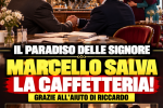 il paradiso delle signore