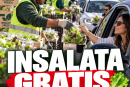 insalata gratis
