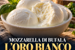 mozzarella