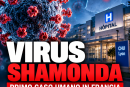 virus shamonda