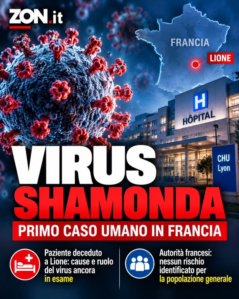 virus shamonda primo caso umano in francia cos8217232 come si trasmette e quanto rischia l8217italia da Zon.it virus shamonda primo caso umano in francia cos8217232 come si trasmette e quanto rischia l8217italia